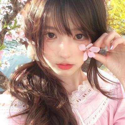 动画纪录