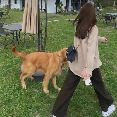 忍者神龟第六季